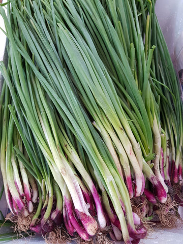 Organic Spring Onion 300g
