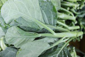 Organic Baby Kai Lan Flower