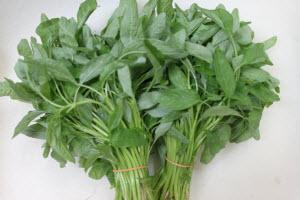 Organic Baby Spinach Sharp Leaf