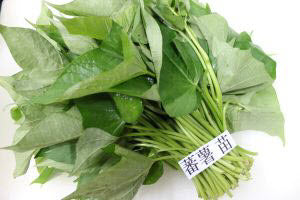 Organic Baby Sweet Potato Leaf