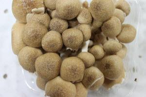 Organic Fresh He Xi Gu