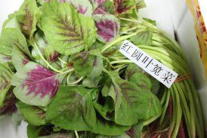 Organic Local Red Spinach