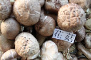 Organic Flower Fresh Mushroom