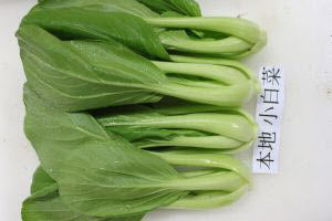 Organic Xiao Bai Cai