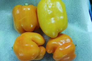 Organic Yellow Pepper