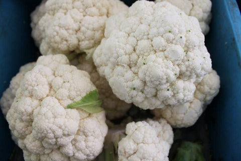 Organic Australia Cauliflower