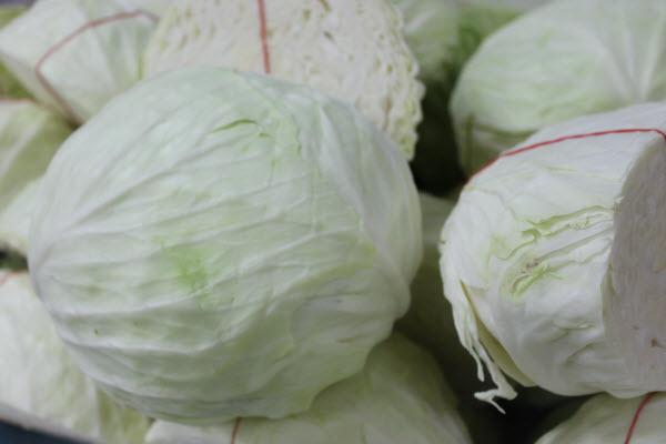 Organic Australia Fresh Cabbage