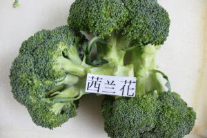 Organic Australia Broccoli