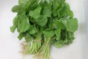 Organic Baby Yuan Yue Spinach