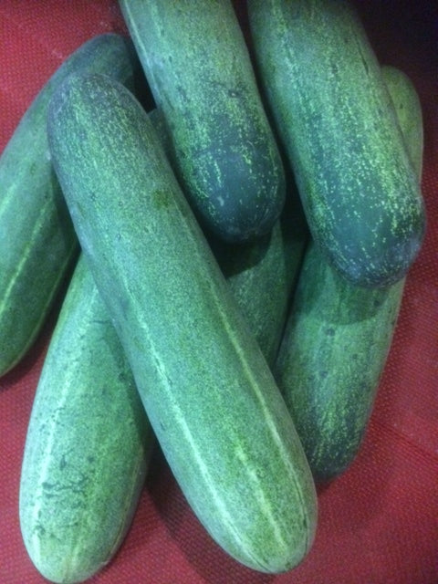 Organic Juicy Cucumber (Malaysia)