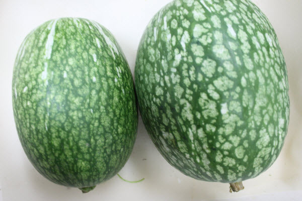 Organic Sharkfin Melon (Cut Only)