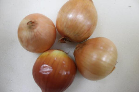 Organic White Onion
