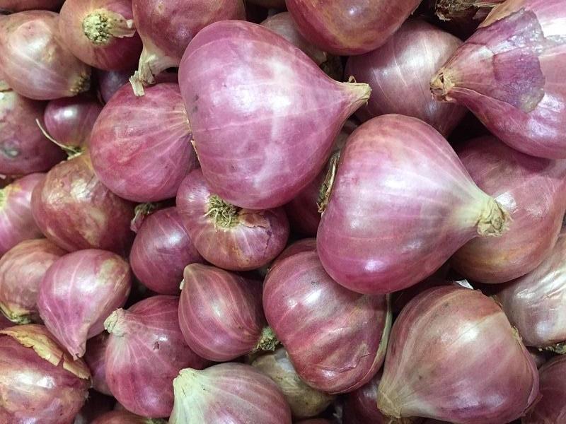 Organic Small Onion