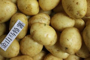Organic Australia Potato