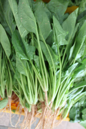 Organic Spinach (Bo Cai)