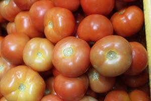 Organic Tomato 500g