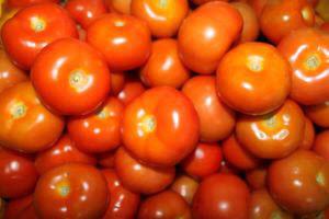 Organic Australia Tomato